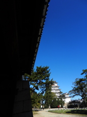 垣間見る