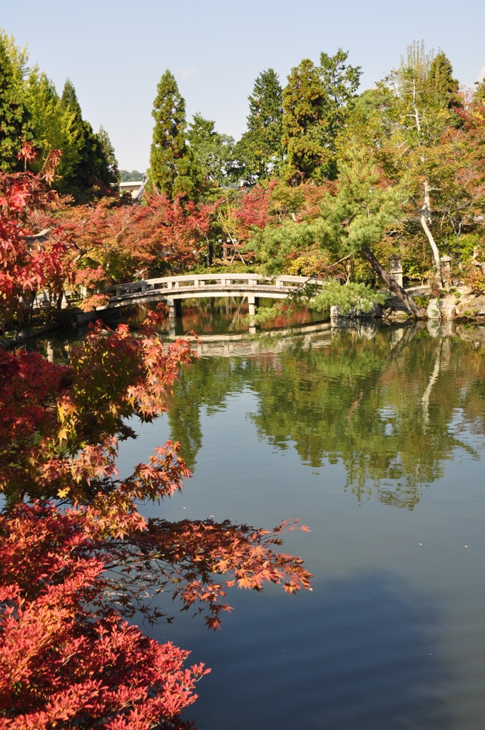 永観堂の紅葉Ⅱ