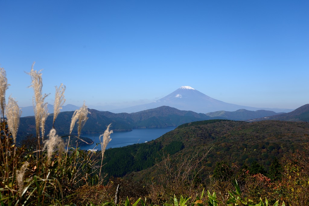 富士山とススキ