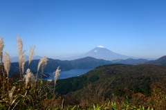 富士山とススキ