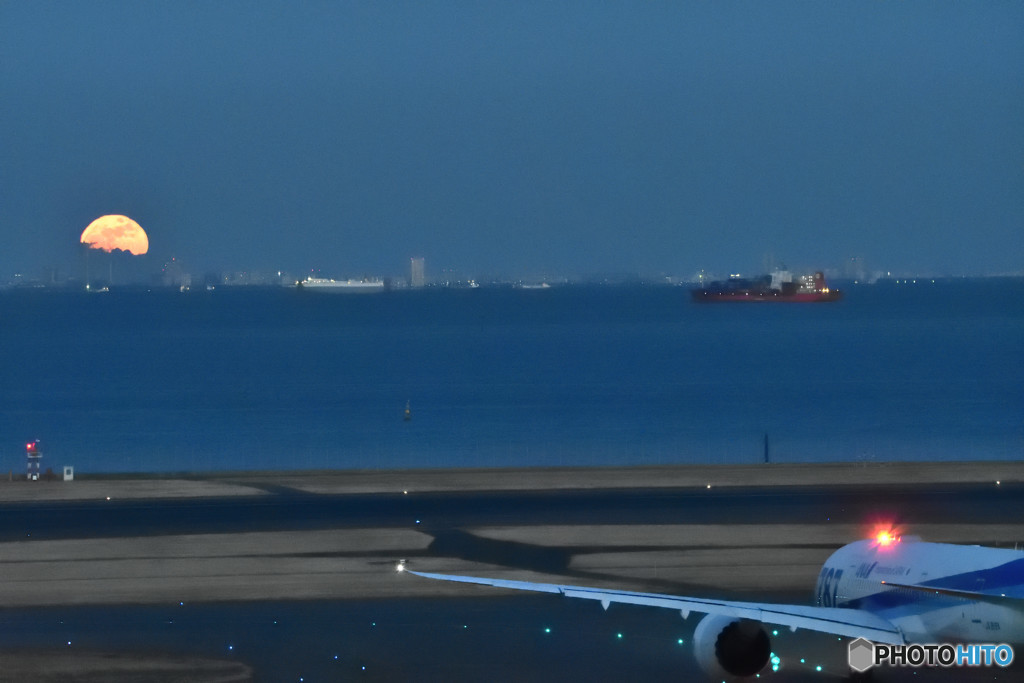 TIA（Tokyo International Airport）物語　④