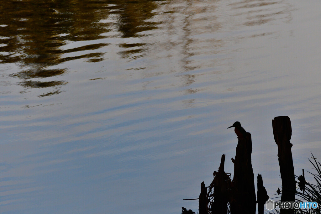 Silhouette