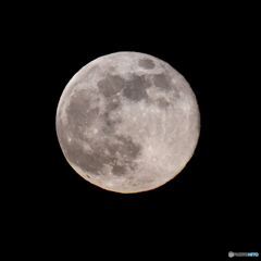 今夜の満月