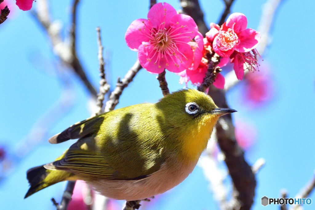 満を持して