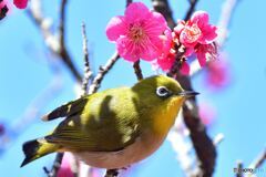 満を持して
