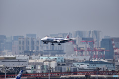 夏の羽田空港便り　⑥