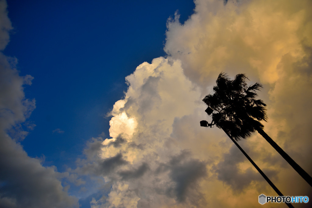 夏の空