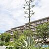 数十年に一度の開花