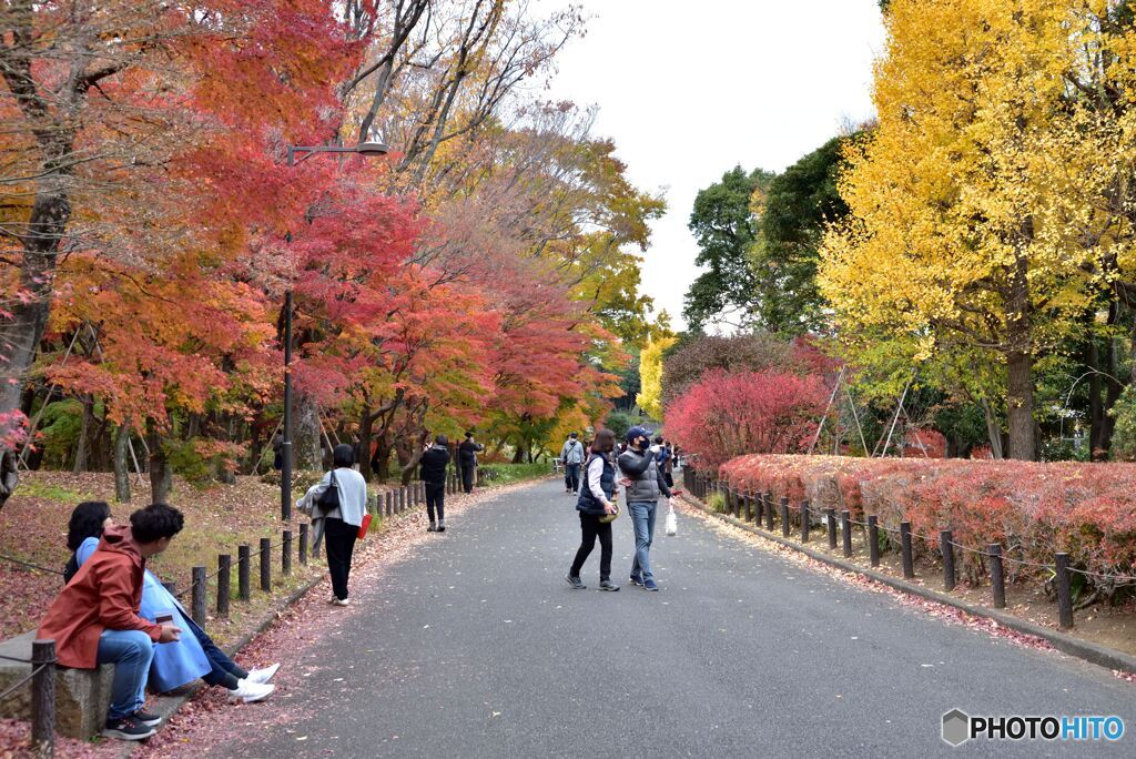 北の丸公園　その３