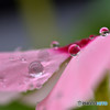 続・Rainy day 