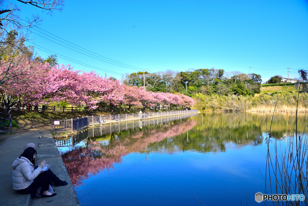 静かな池の畔