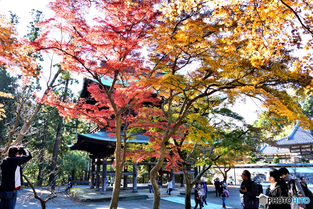 ぶらり江の島・鎌倉　その3