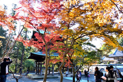 ぶらり江の島・鎌倉　その3