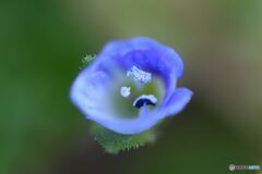 本格的春の兆し　その２