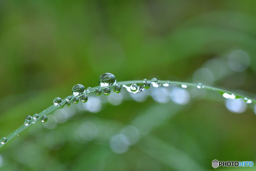水滴のアーチ