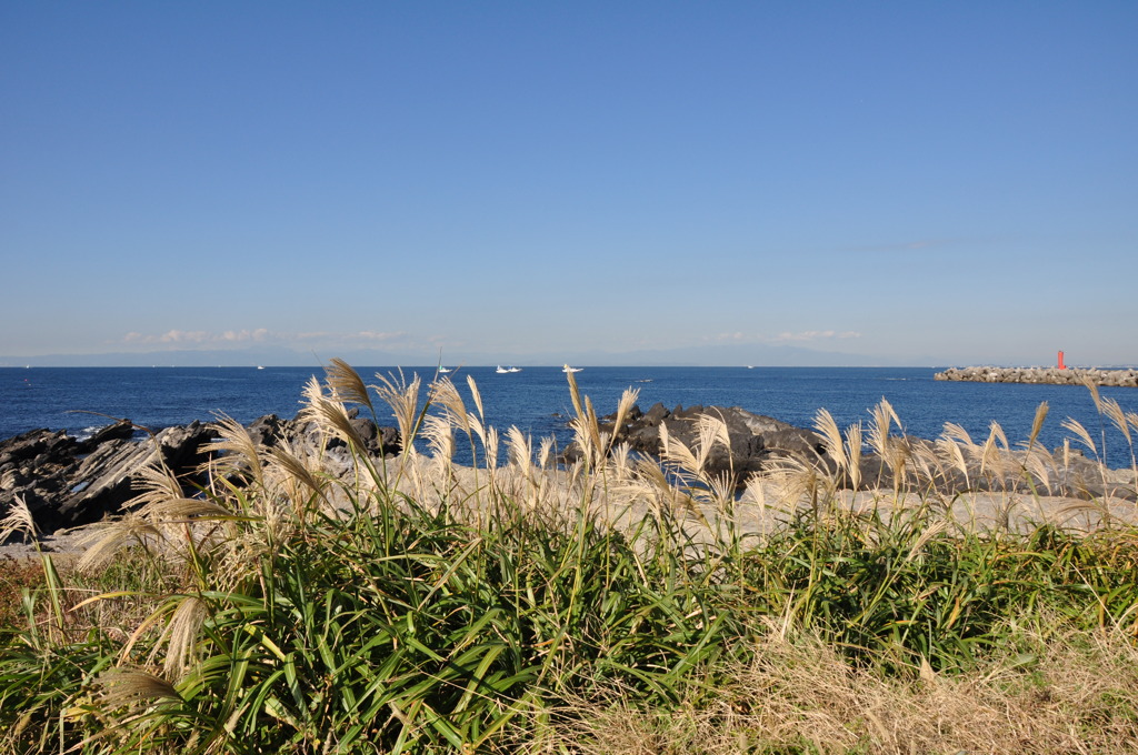 穏やかな海