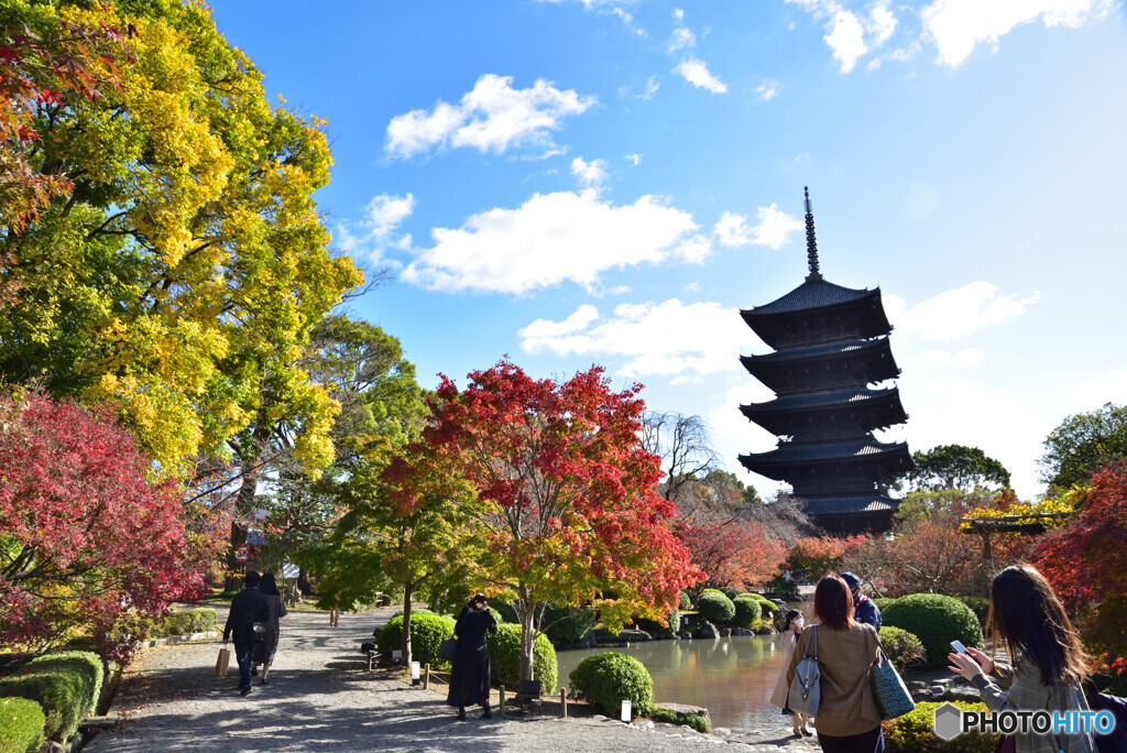 京都の紅葉２０２０　その２６