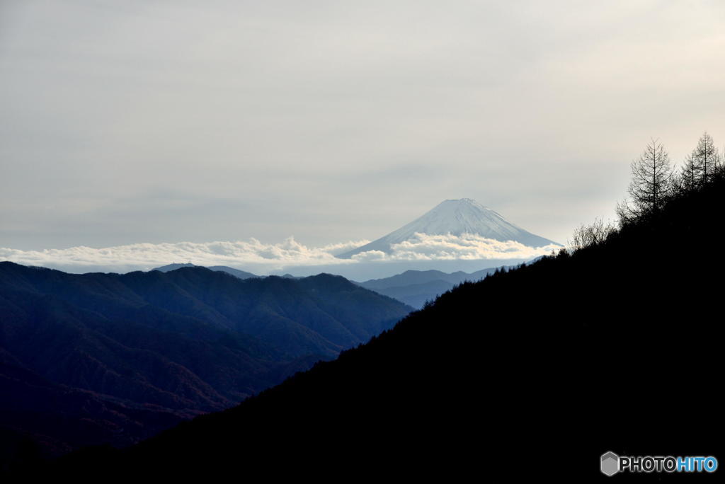 柳沢峠から眺める富士