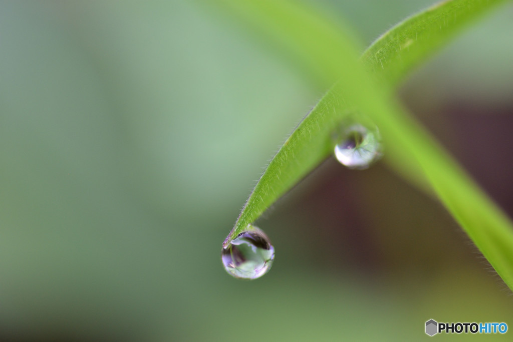 雨は✖