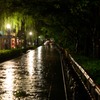 小雨降る京都　白川南通