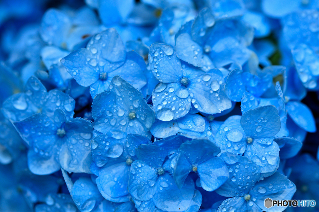 雨の止み間に　その３