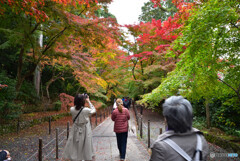 京都の紅葉２０２０　その２１