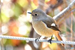 モデル撮影会　その２