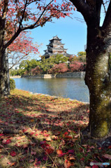 安芸（秋）のお城　壱