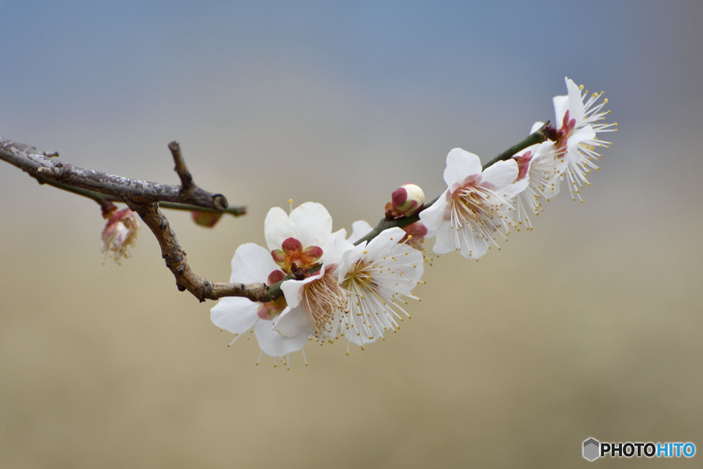 お好みは？　その３