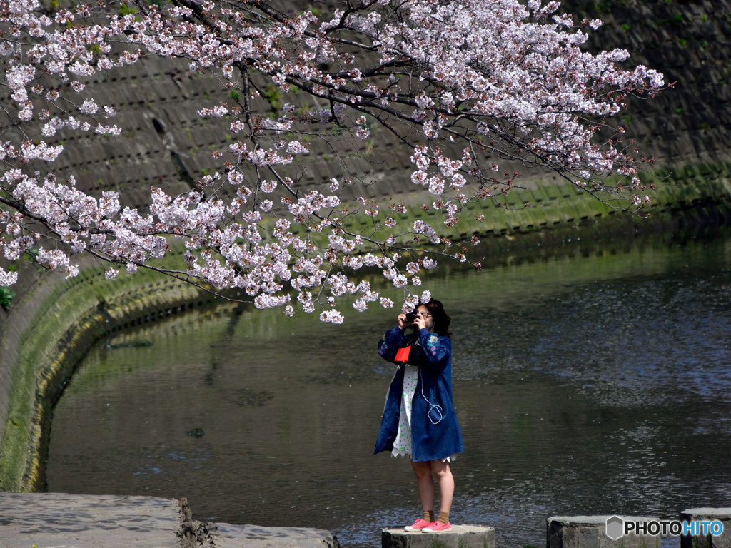 やっと咲いたね～　その２