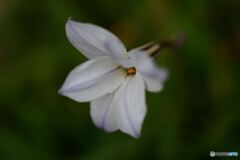 愛しい人に逢える喜び