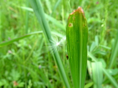 ゲッ！変な奴に捕まっちゃった