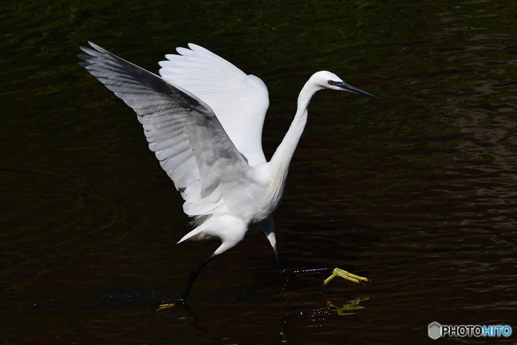 待て～っ！