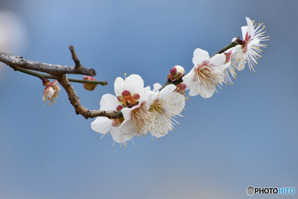 お好みは？　その２