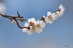 お好みは？　その２