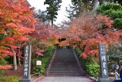 奥へどうぞ・・・