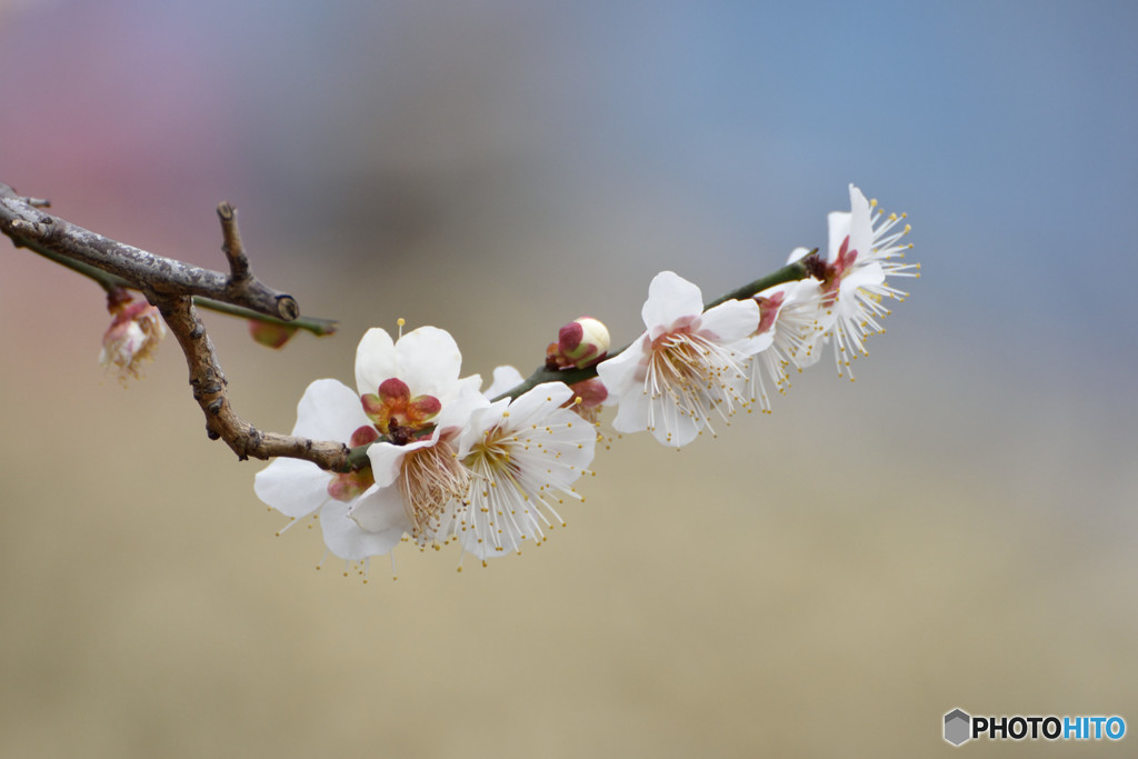 お好みは？　その１