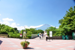 振り向けばヤツがいる