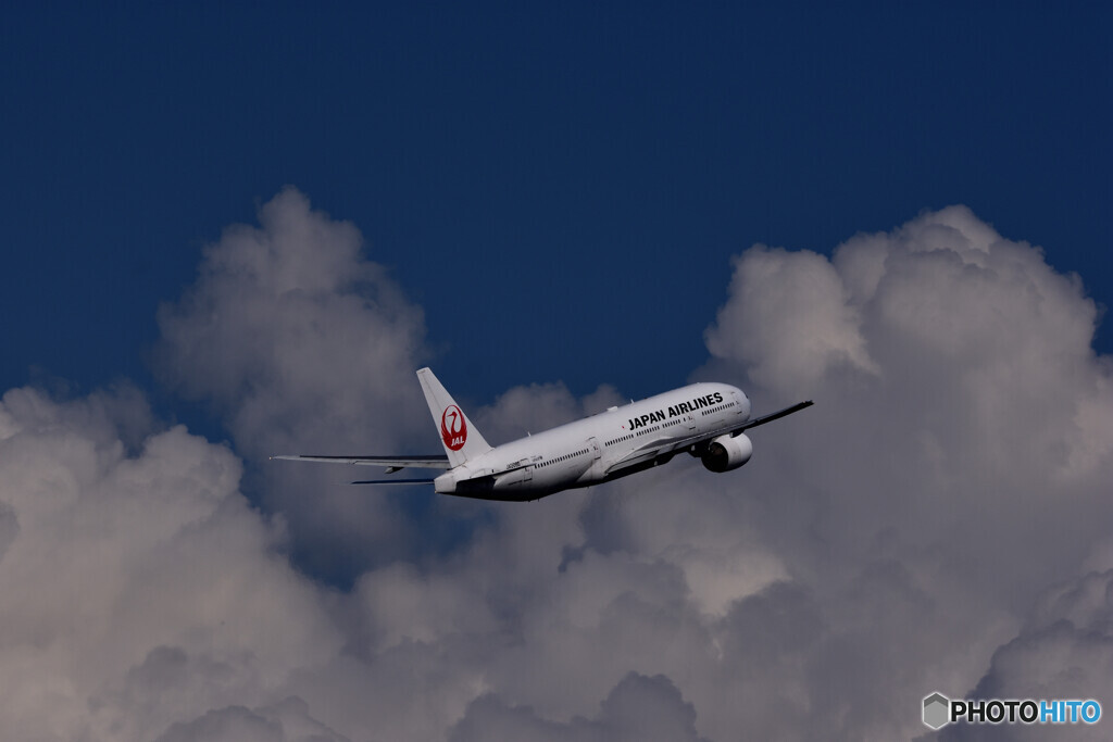 飛べ　夏空へ