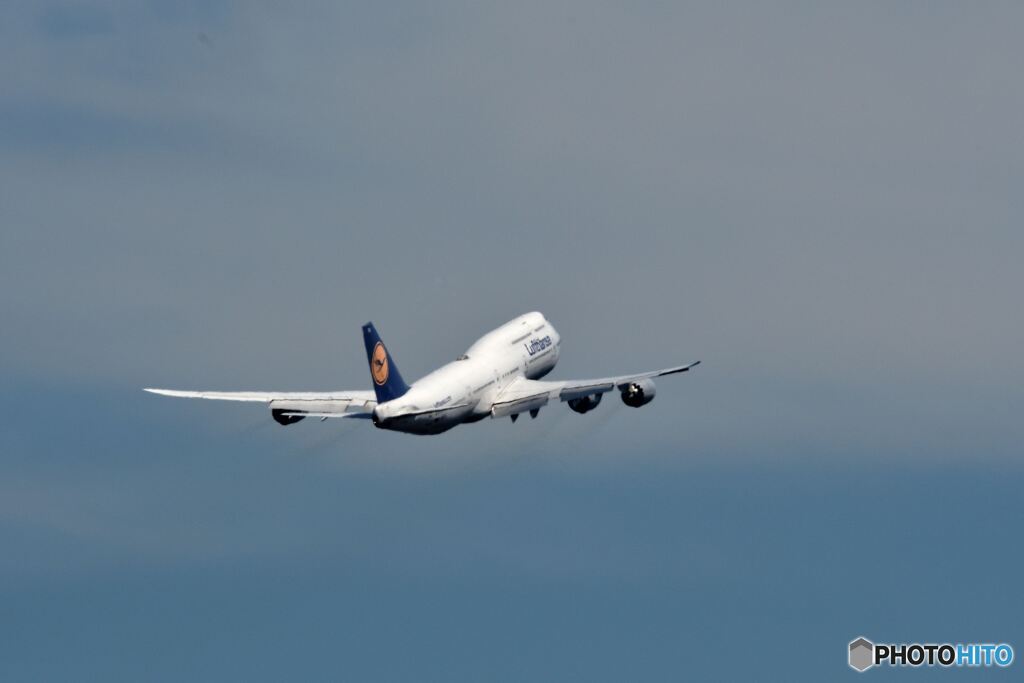 空の王者健在