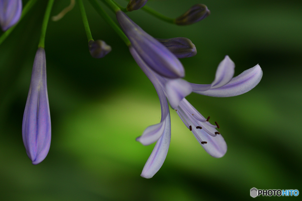 やっと届いたラブレター