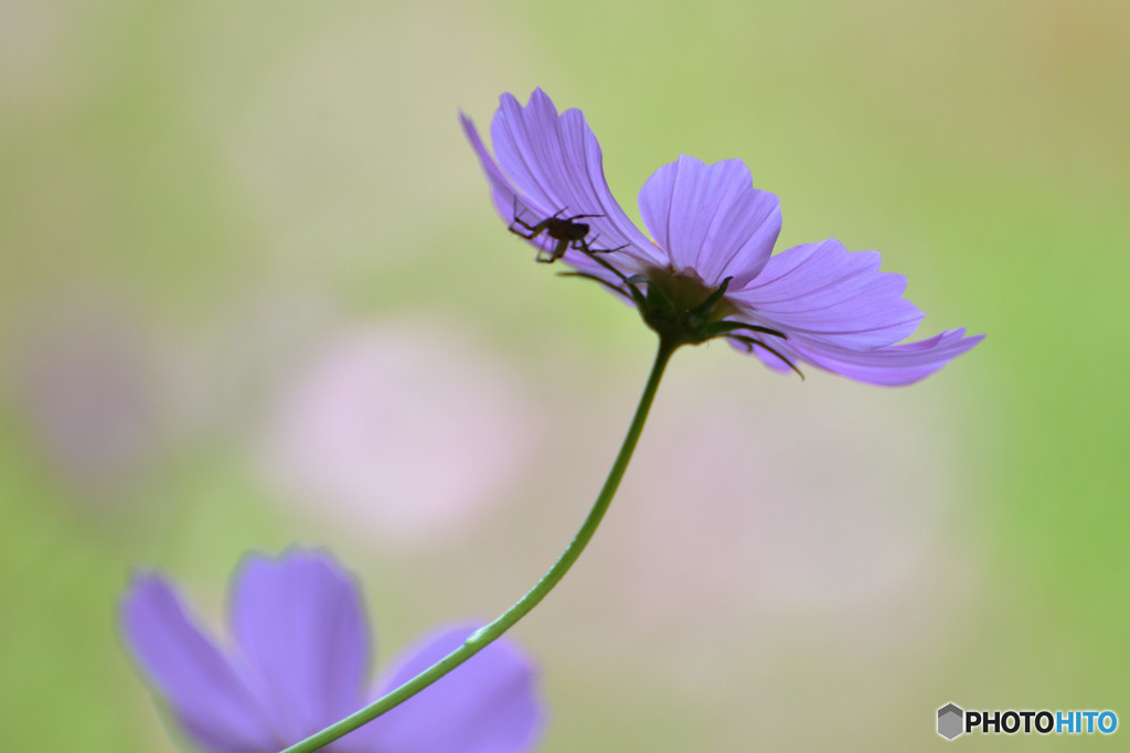 秋爛漫　その７