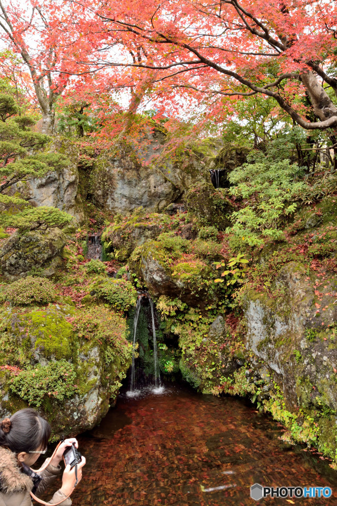 深秋の箱根　箱根美術館　Ⅲ