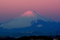 初撮り富士