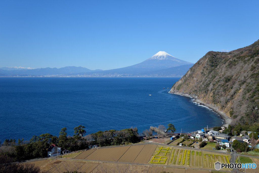 伊豆半島西海岸から望む富士山　④