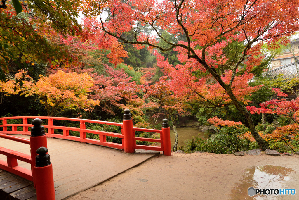 秋（安芸）の宮島　その４