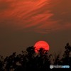 真っ赤な太陽