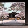 奥へどうぞ