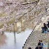 花見日和