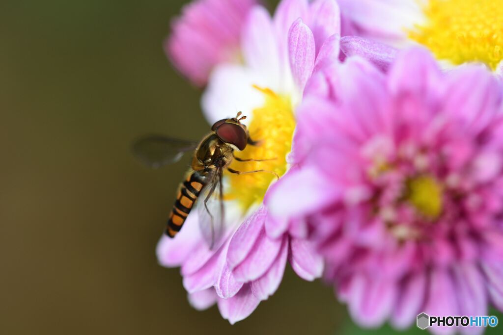 待ってたよ　その３